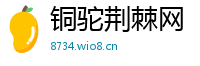 铜驼荆棘网